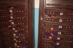 photo5474677826348234478
